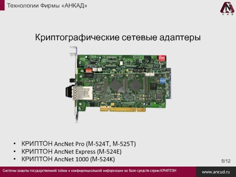 Ошибка криптографического оракула