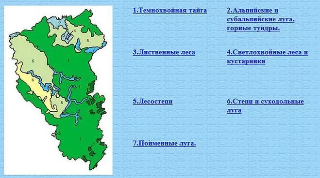 Кузбасс какая природная зона