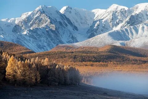 Алтайские горы субъект