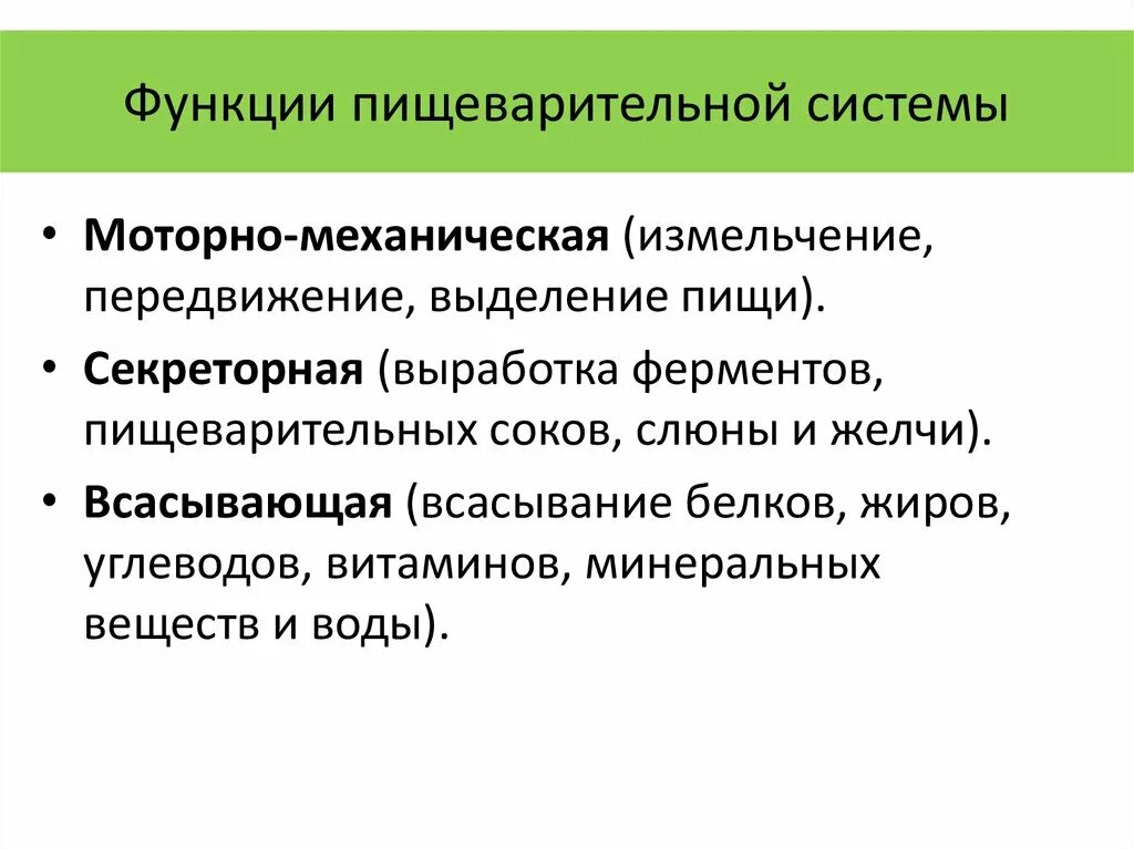 Моторная функция пищеварительной системы. Функции пищеварения. Функции системы пищеварения. Секреторная и пищеварительная функция.