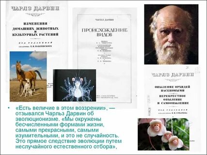 Следствием эволюции организмов нельзя считать
