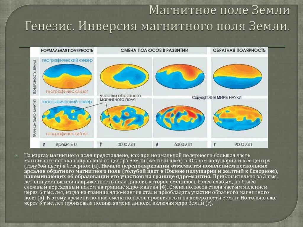 Полярность магнитного поля