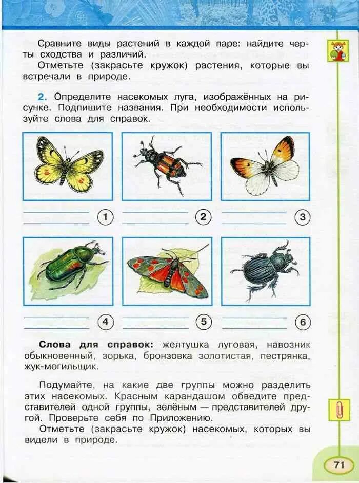 Окр мир 3 стр 11. Окружающий мир 3 класс рабочая тетрадь 1 часть Плешаков стр 71. Окружающий мир 3 класс рабочая тетрадь 1 часть Плешаков стр 70-71. Окружающий мир 3 класс рабочая тетрадь 1 часть Плешаков Новицкая. Окружающий мир 3 класс рабочая тетрадь Плешаков стр 71 ответы 1.