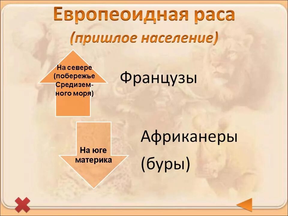 Расы африки таблица. Кластер северная америка. Население австралии кратко. Пришлое население африки. Пришлое население африки народы.