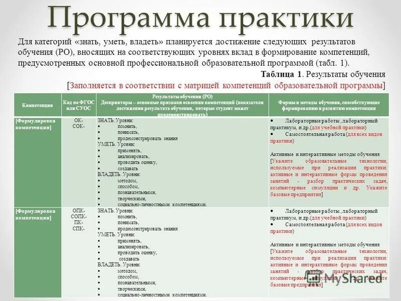 Программная практика