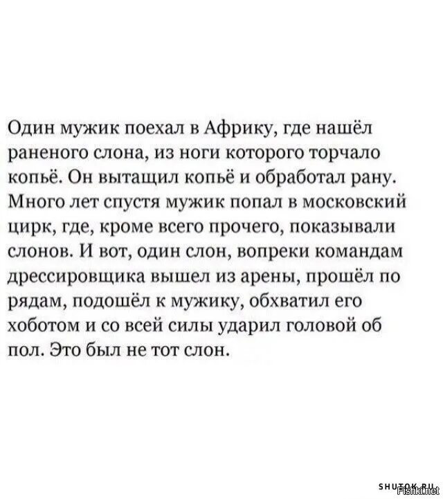 У мужчины оказывается был. Один мужик поехал в Африку где нашёл раненого слона. Это был не тот слон анекдот. Анекдот про слона. Анекдот про мужика и слона.