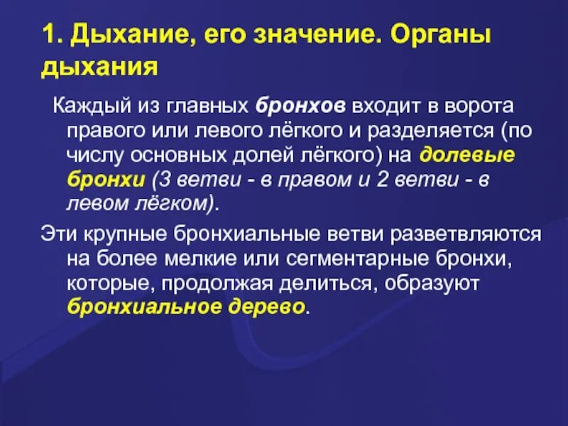 Вдох значение. Значение органов дыхания. Дыхание и его значение органы дыхания. Значение органов. Значение органов дыхания про каждый орган.