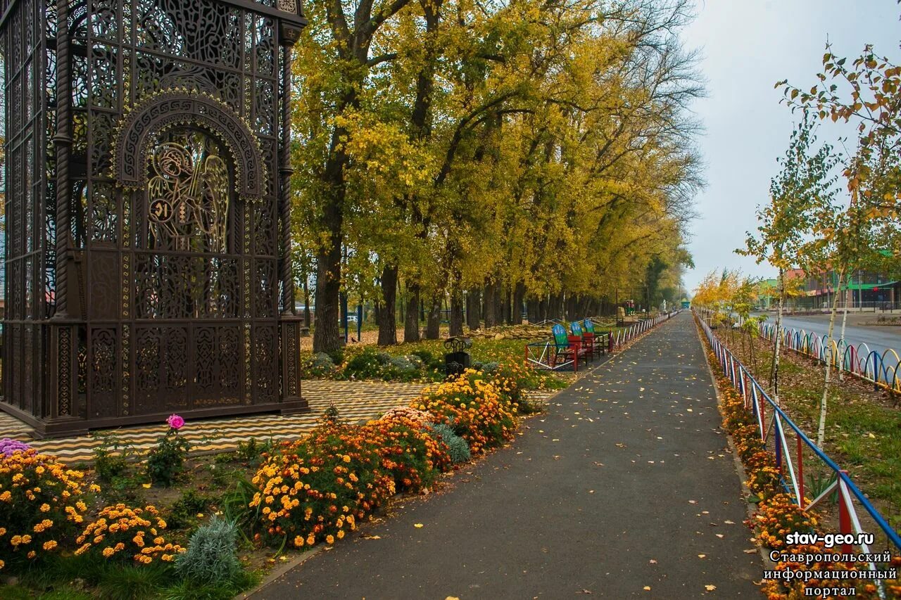 Магазины в михайловском ставропольского края. Михайловск Ставропольский край аллея ласточек. Гармония Михайловск аллея. Аллея Гармония Михайловск Ставропольский край. Парк Михайловск Ставропольский край.