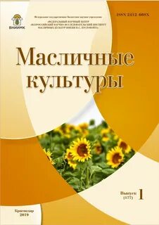 Главная масличная культура