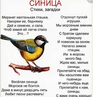 Короткие стихи про птиц