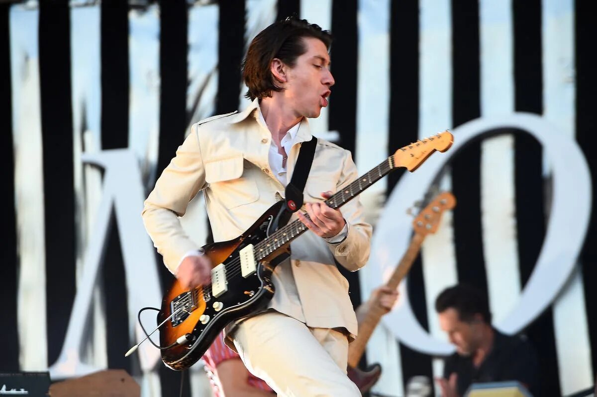 Arctic monkeys live