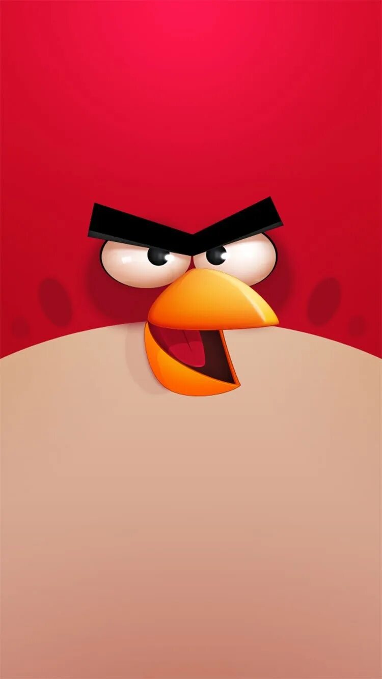 Энгри бердз злые птички. Злой Энгри бердз. Энгри бердз заставка на телефон. Angry Birds птицы.
