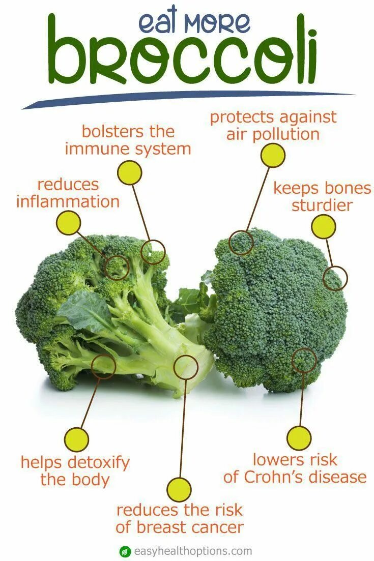 Брокколи. Брокколи и здоровье. Брокколи белок. Диета на брокколи. Reduce disease