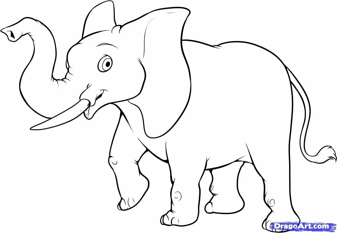 Слон нарисовать. Слон рисунок для детей. Слон карандашом. Нарисовать слона. Слоник карандашом.