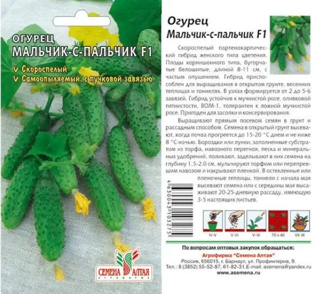 Парижский корнишон огурцы характеристики: найдено 86 изображений