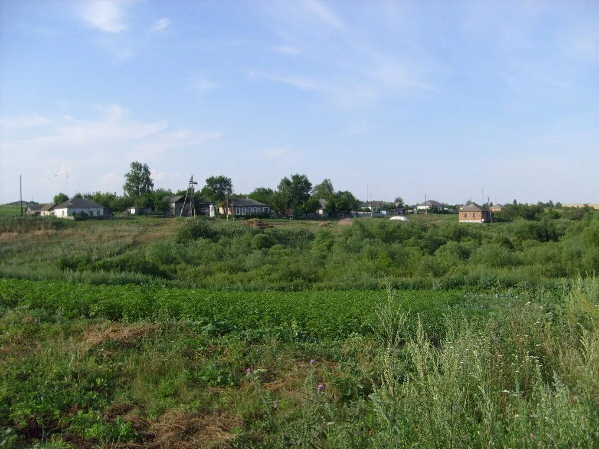 Погода в орехово. Погода орехово курская. Новокасторное курская область. Верхотопье курская область. Погода орехово курская.