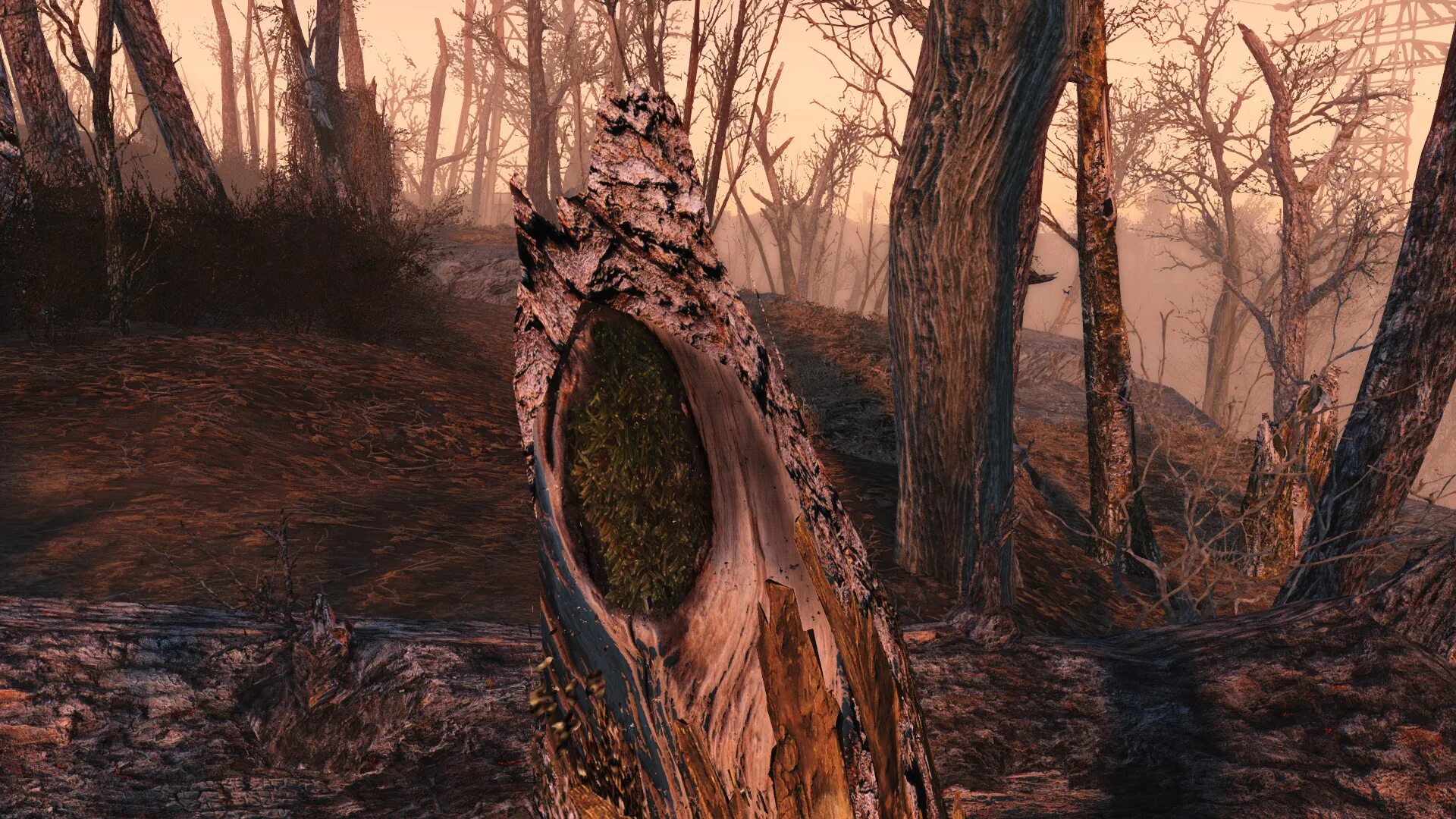 Fallout 4 textures. Fallout 4 хвойные деревья. фоллаут пейзажи деревья. фоллаут 4 мод на деревья.