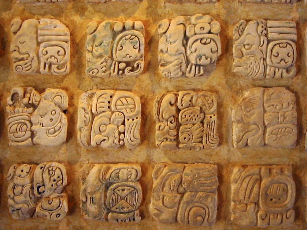 Maya script