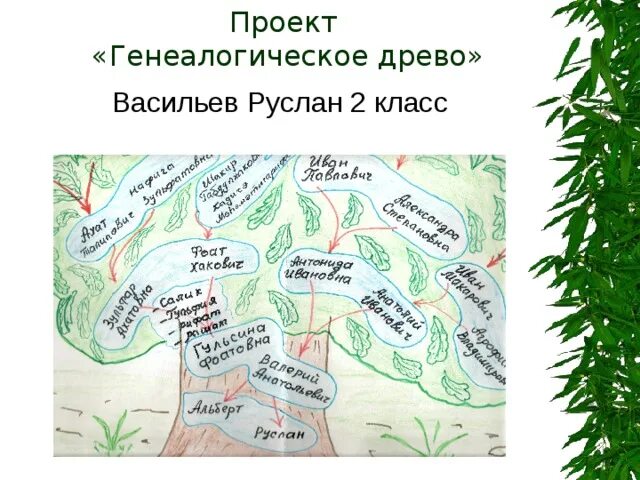 Окружающий мир 2 класс родословная учебник. Родословная окружающий мир. Проект родословная. Проект родословное дерево 2 класс. Окружающий мир проект родословная.