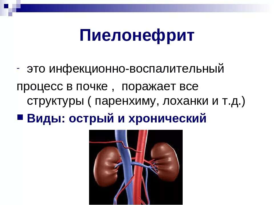 Пиелонефрит презентация. Хронический пиелонефрит презентация. Воспалительный процесс в почках.