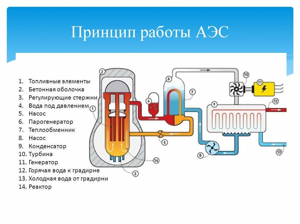 Ядерный реактор атомная Энергетика 9 класс. Ядерная Энергетика и теплофизика. Ядерный реактор физика 9 класс. Схема атомного реактора 9 класс.