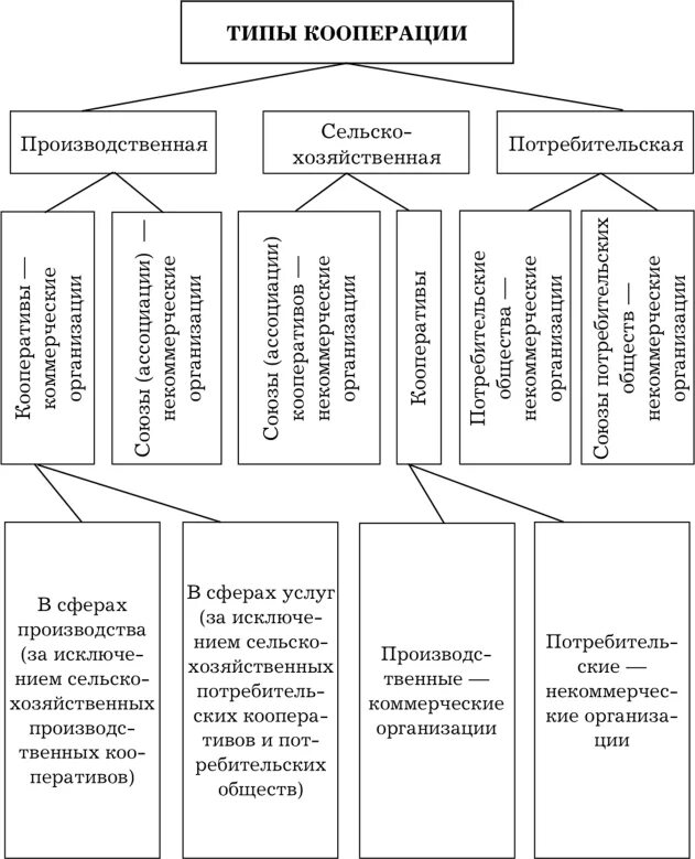 Виды кооперативов и их классификация в России. Типы потребительских кооперативов. Виды производственных кооперативов таблица. Виды потребительских кооперативов в России. Направления кооперации