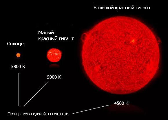 Где больше солнца. Красный гигант звезда. Солнце красный гигант. Красный гигант звезда и солнце. Красный гигант размер.