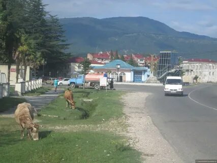 Хони грузия