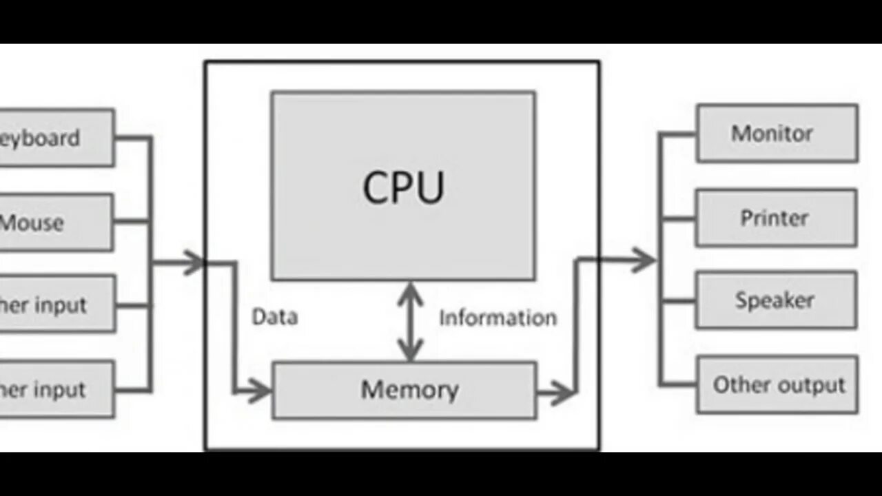 Name inputs outputs. Input output. Input and output devices. Monitor output device. Input и output в тинкеркале.