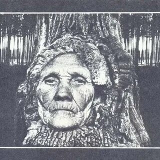 Фамилия соров