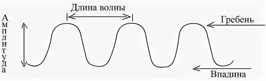 Из каких частей состоит волна