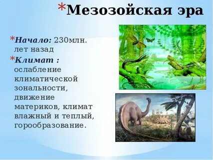 Эра что была до мезозоя кроссворд