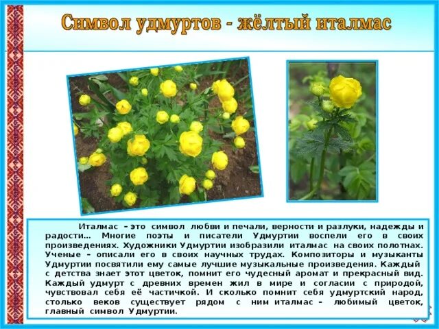 Красная книга удмуртии цветы