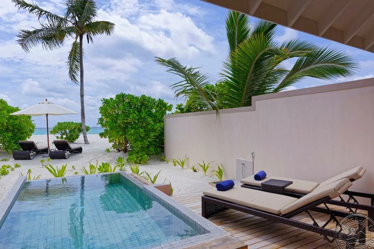 Brennia kottefaru bougain villa. Brennia kottefaru maldives 5 раа атолл. Brennia kottefaru 5*, beach villa. Brennia kottefaru. Brennia kottefaru 5* (раа атолл).