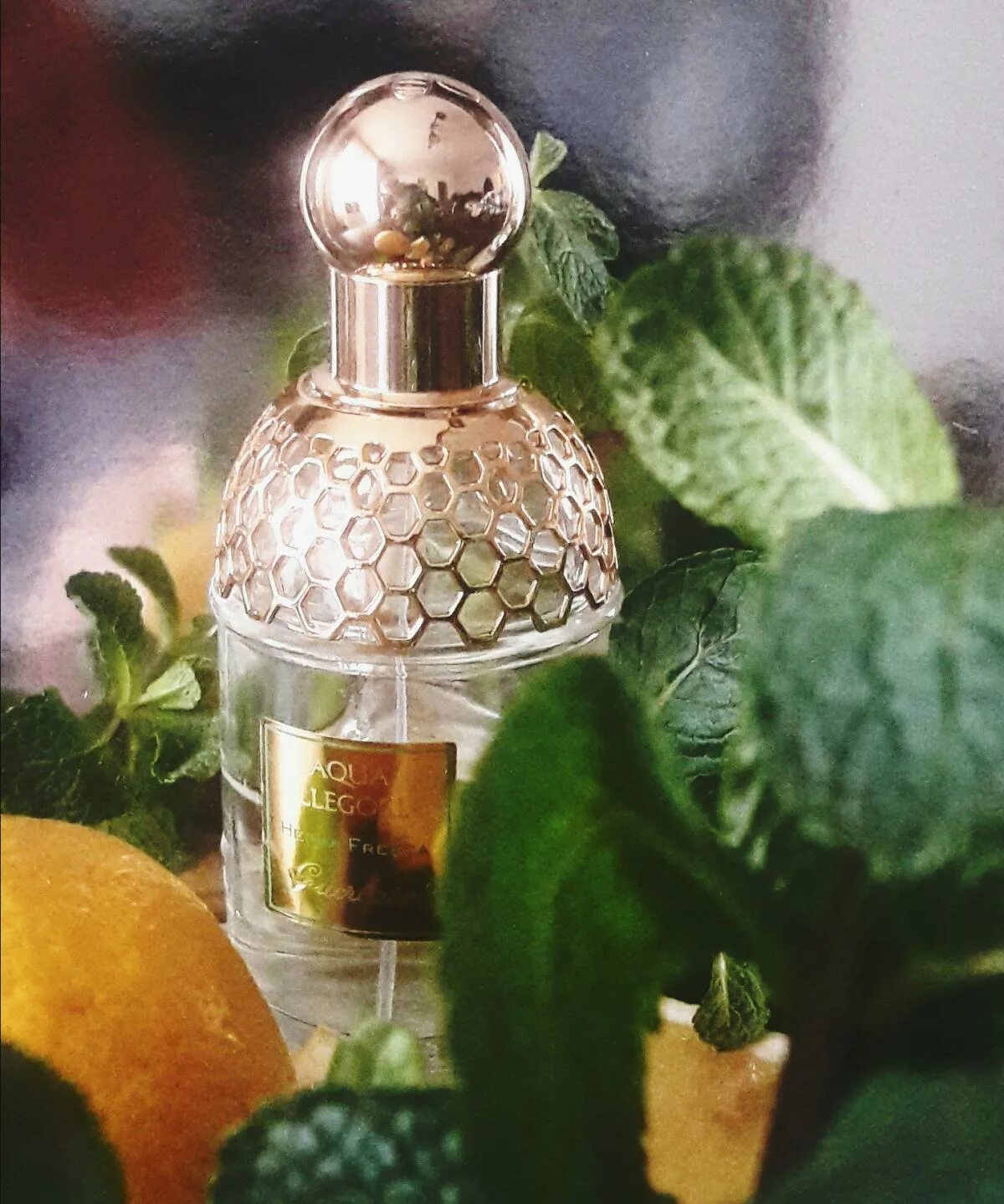 Guerlain aqua allegoria fresca. Герлен Херба фреска. Духи Aqua Allegoria herba fresca. Guerlain herba. Guerlain Aqua Allegoria herba fresca реклама.