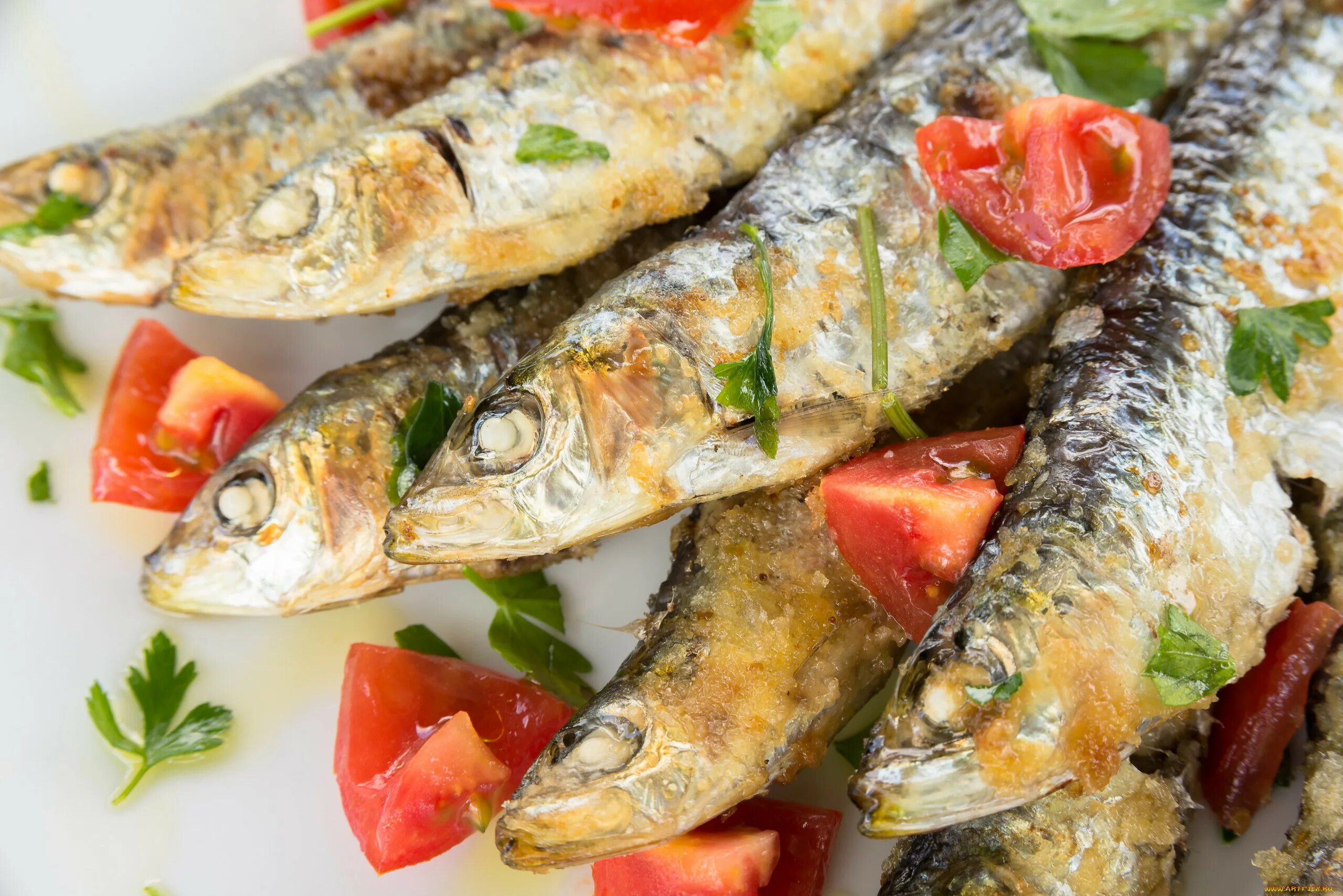 Море вкусного рыба. Рыбные блюда. блюда из рыбы. рыба и морепродукты. много блюд из рыбы.