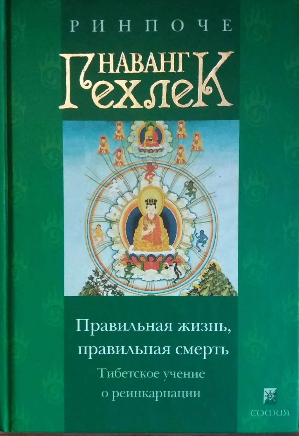 Тибетские книги. Книги о Тибете. Реинкарнация книга. Ринпоче тибетская книга.