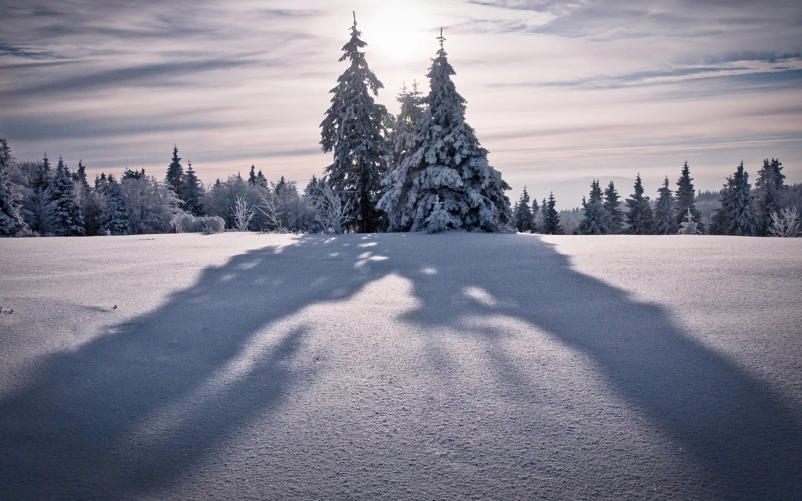 Winter shadows