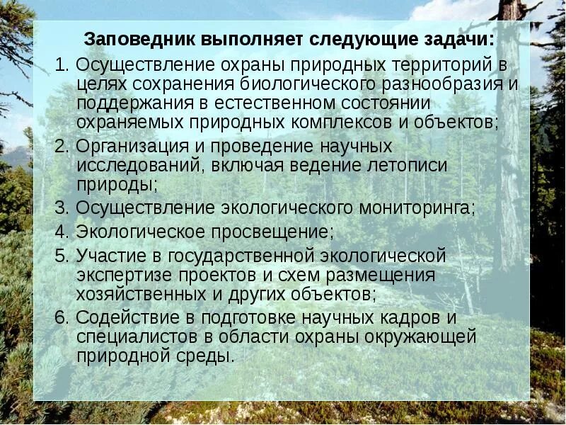Сохранение заповедников. Задачи заповедников. природные заказники задачи. баргузинский заповедник охраняемые объекты. задачи природных заповедников.
