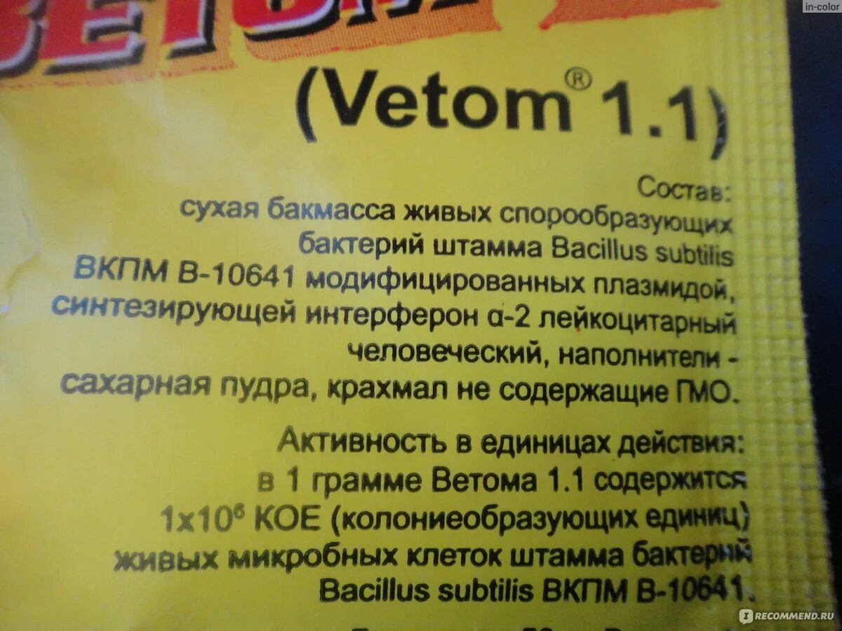 Можно ли ветом людям