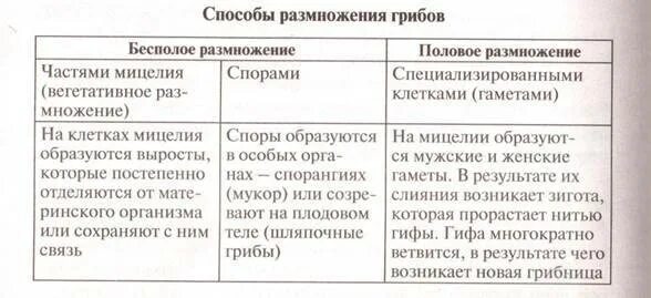 Вегетативное размножение - Биология - Презентации - 6 класс