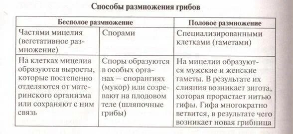 Каковы особенности бесполого размножения 6 класс. Бесполое размножение грибов схема. Способы размножения грибов таблица. Типы бесполого размножения грибов. Половой путь размножения грибов.