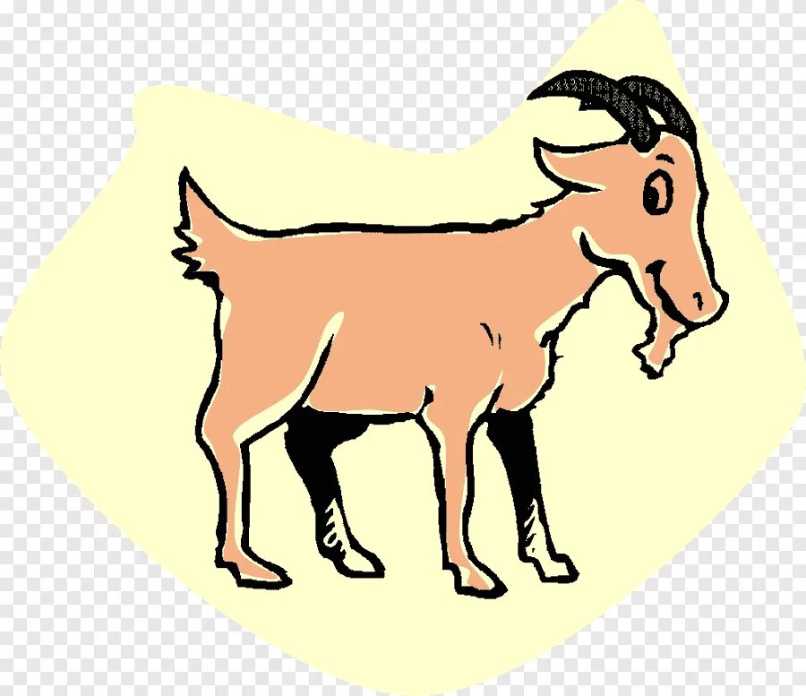 Коза по английски. Карточка с козлом. Транскрипция английских слов goat. Коза на англ. Карточки goat.
