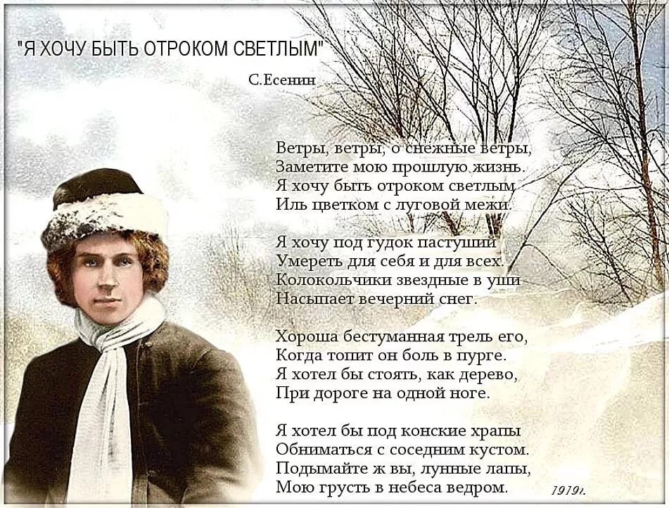 Стихи Есенина о зиме. Стихотворение Есенина. Есенин стихи о зиме. Ветер ветер меня не заметил