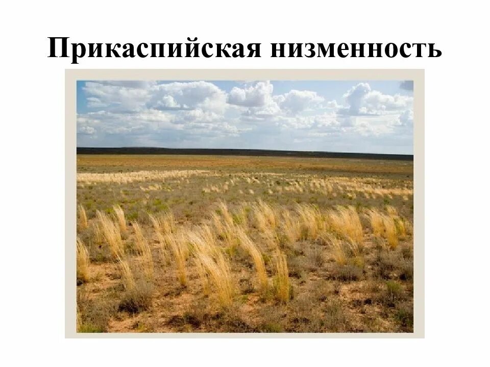 Великие равнины средняя высота и максимальная. Прикаспийская низменность Астраханская область. Прикаспийскую низменность среднерусскую возвышенность. Прикаспийская низменность точки. Впадина Прикаспийская низменность.