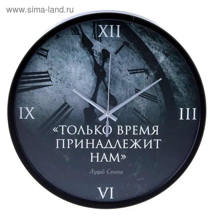 Цитаты про время. Часы настенные с цитатой. Цитаты про часы. Только время принадлежит нам. Высказывания про часы.