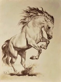Рисунки коня для срисовки (100 фото) .