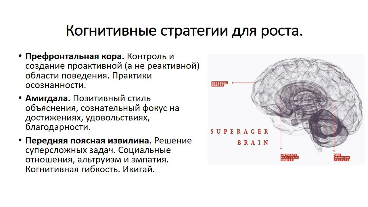 Снижение когтеневидных функций. Когнитивные нарушения неврология. Когнитивные функции неврология. Когнетивная гиперфиксация. Копинг стратегии.