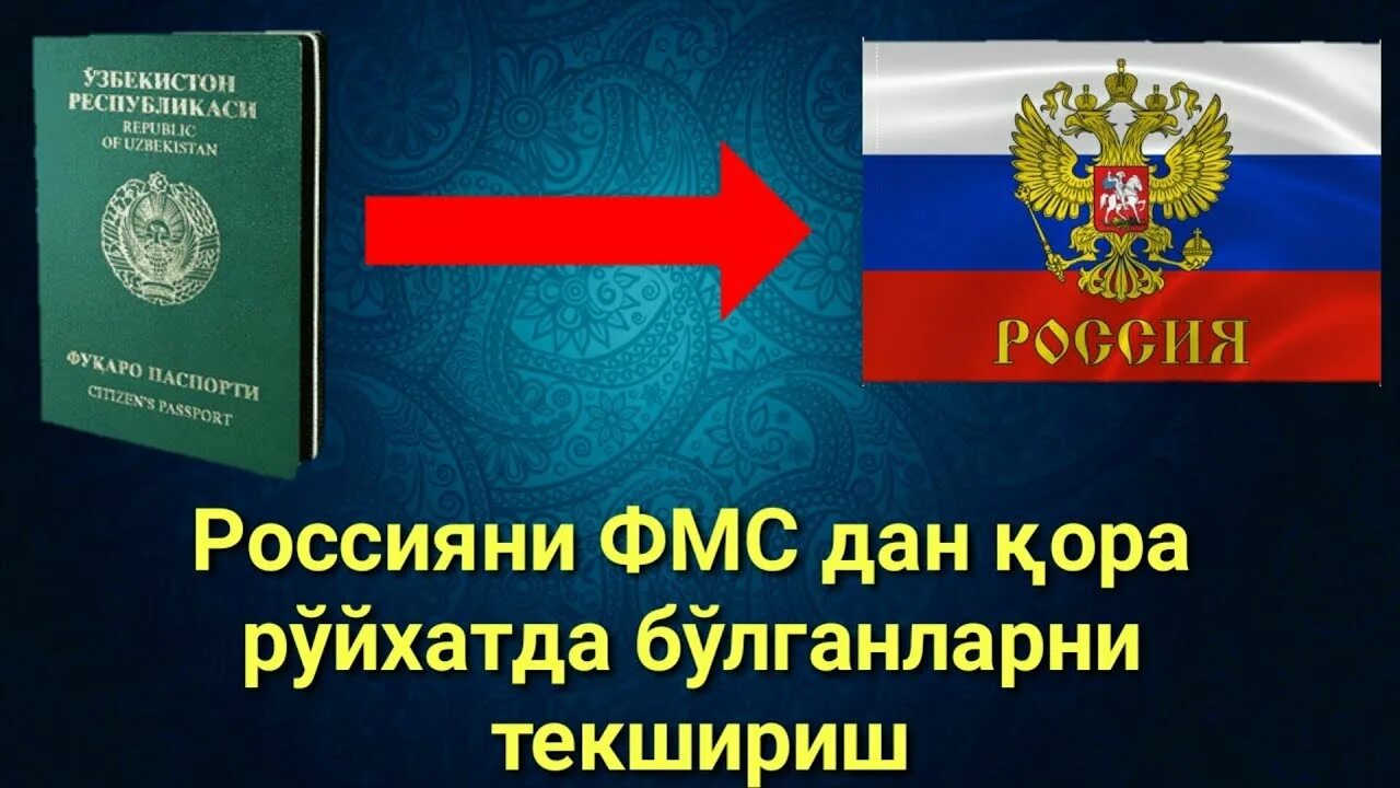 Текшириш. ДЕПОРТ текшириш. ДЕПОРТ текшириш Россия. ДЕПОРТ текшириш Россия ФМС.