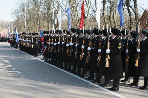 Военно морской калининград